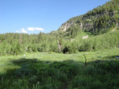 Spring Hollow - Dry Canyon loop
