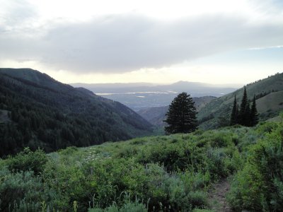 Spring Hollow - Dry Canyon loop