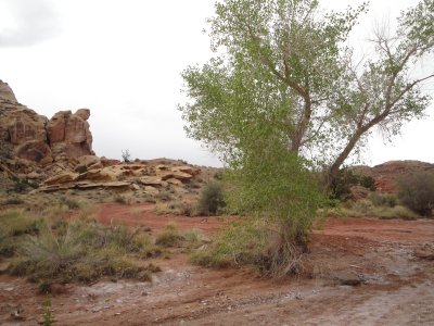 Family Vacation 2011