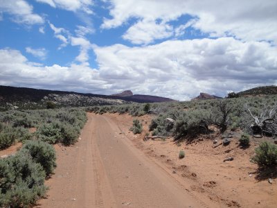 Family Vacation 2011