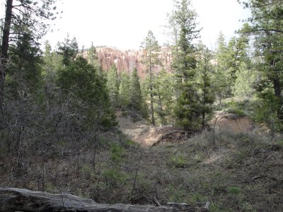 Henderson Canyon, Below the Point, Burro Canyon