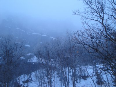 Dry Canyon in the Winter