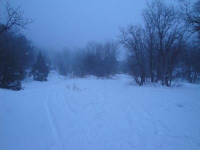 Dry Canyon in the Winter