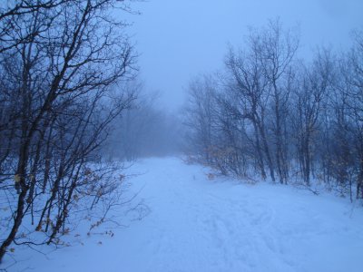 Dry Canyon in the Winter