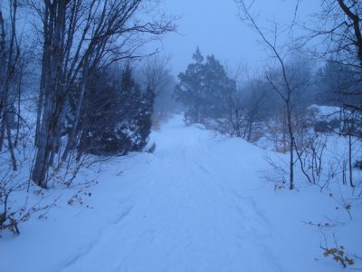 Dry Canyon in the Winter