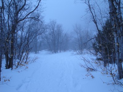 Dry Canyon in the Winter